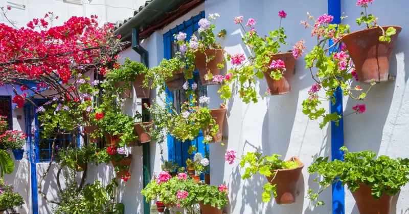 Authentic Patios: 2-Hour Tour with Tickets