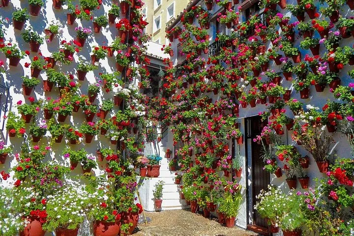 Popular Patios Tour with an Art Historian