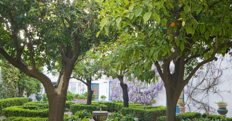 Viana Palace Patios & Gardens Ticket
