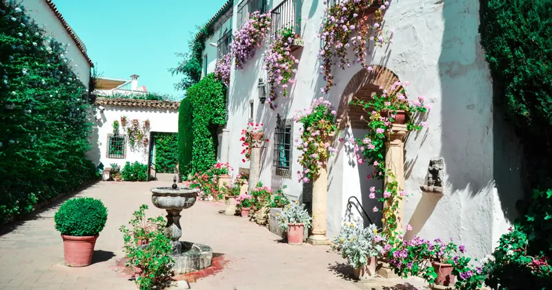 Patios & Viana Palace Guided Tour