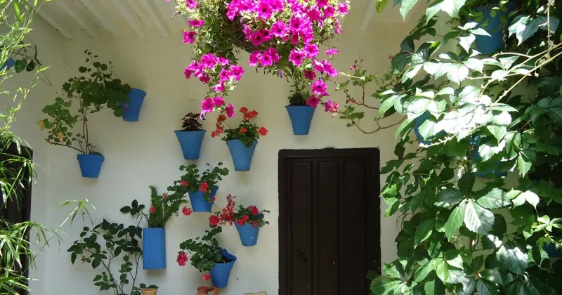 Patios & Montilla Wine Tasting