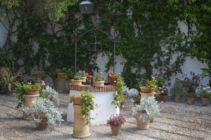 Ein steinerner Brunnenrand, umgeben von Töpfen in einem Patio mit efeubewachsenen Wänden